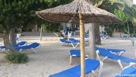 Apartamentos Martha'S Palmanova Lejlighedshotel